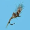 Solitude Shop Flies Morris May Emerger - PMD