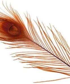 Spirit River Dyed Peacock Eyes Feathers & Marabou