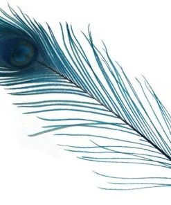 Spirit River Dyed Peacock Eyes Feathers & Marabou