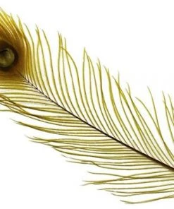 Spirit River Dyed Peacock Eyes Feathers & Marabou