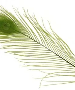 Spirit River Dyed Peacock Eyes Feathers & Marabou