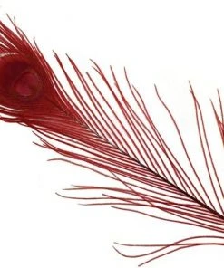 Spirit River Dyed Peacock Eyes Feathers & Marabou