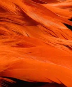 Nature's Spirit Hackle Fish Hunter Select Schlappen 48 Nature's Spirit Hackle Fish Hunter Select Schlappen