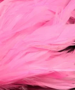 Nature's Spirit Hackle Fish Hunter Select Schlappen 80 Nature's Spirit Hackle Fish Hunter Select Schlappen