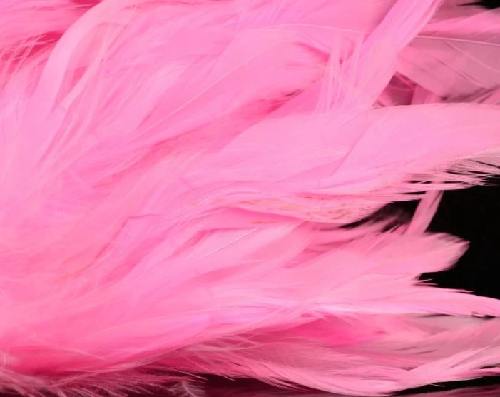 Nature's Spirit Hackle Fish Hunter Select Schlappen 40 Nature's Spirit Hackle Fish Hunter Select Schlappen