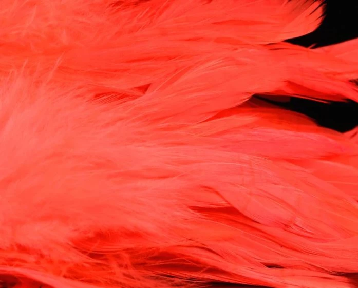 Nature's Spirit Hackle Fish Hunter Select Schlappen 15 Nature's Spirit Hackle Fish Hunter Select Schlappen