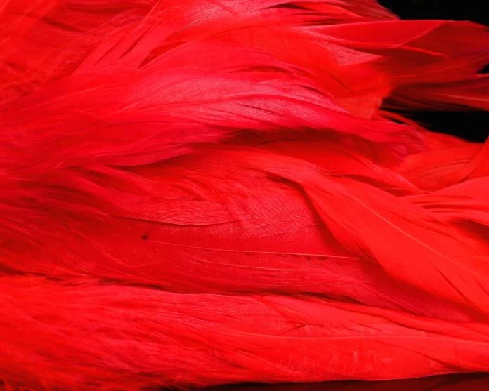 Nature's Spirit Hackle Fish Hunter Select Schlappen 18 Nature's Spirit Hackle Fish Hunter Select Schlappen