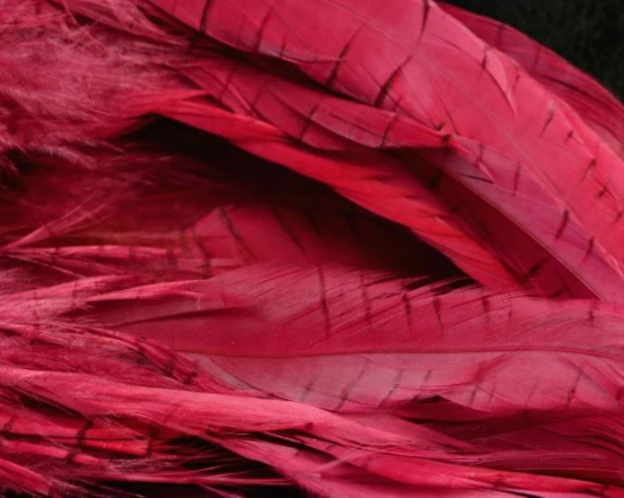 Nature's Spirit Hackle Fish Hunter Select Schlappen 27 Nature's Spirit Hackle Fish Hunter Select Schlappen