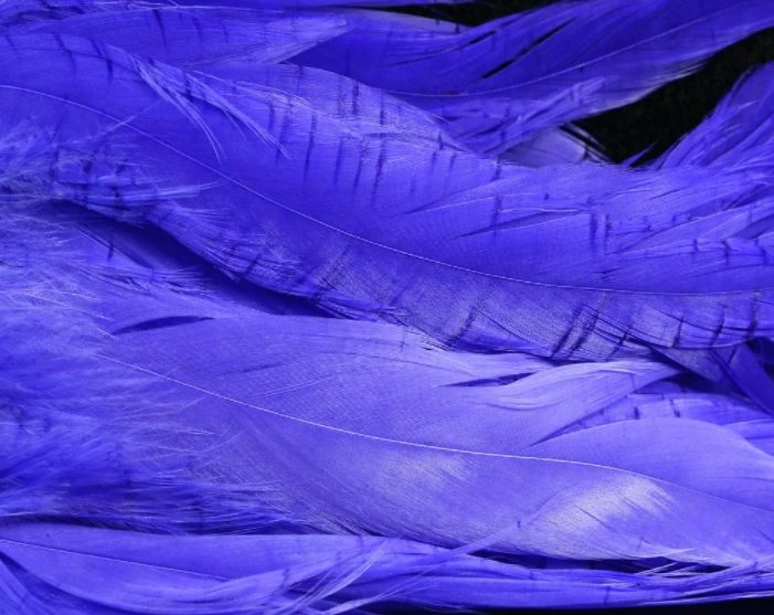 Nature's Spirit Hackle Fish Hunter Select Schlappen 29 Nature's Spirit Hackle Fish Hunter Select Schlappen