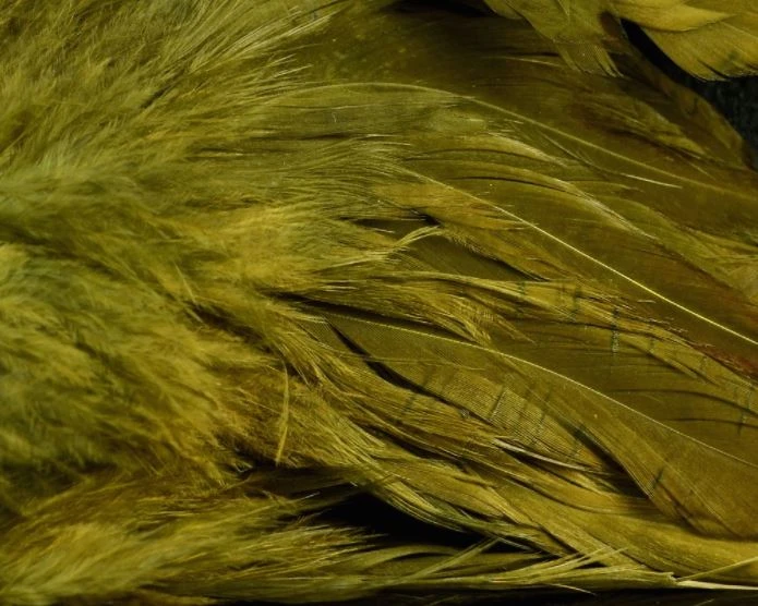 Nature's Spirit Hackle Fish Hunter Select Schlappen 31 Nature's Spirit Hackle Fish Hunter Select Schlappen