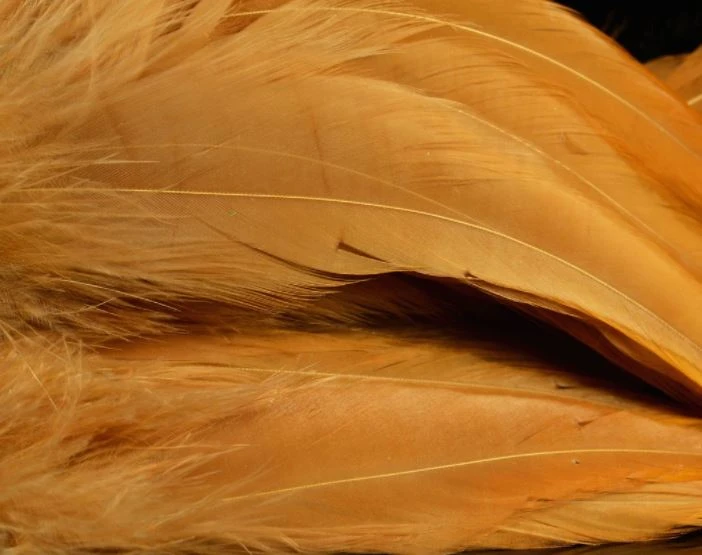 Nature's Spirit Hackle Fish Hunter Select Schlappen 32 Nature's Spirit Hackle Fish Hunter Select Schlappen