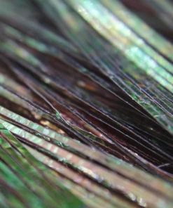 Nature's Spirit Synthetic Fibers & Flash Perdigonmania Iridescent Strips