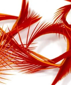 Semperfli Inferno Goose Biots Feathers & Marabou