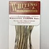 Whiting 100 Pack Dry Fly Hackle - Silver Badger - 12