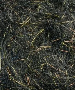 Rohmer Dubbing Arizona Simi Seal 80 Rohmer Dubbing Arizona Simi Seal