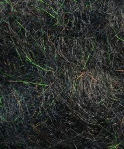 Rohmer Dubbing Arizona Simi Seal 86 Rohmer Dubbing Arizona Simi Seal