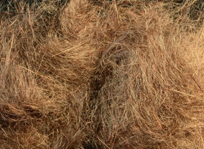 Rohmer Dubbing Arizona Simi Seal 48 Rohmer Dubbing Arizona Simi Seal