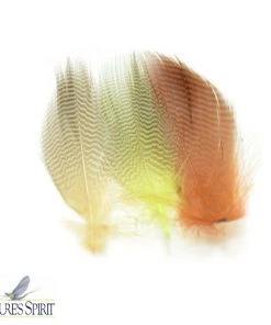 Nature's Spirit Teal Barred Flank Feathers & Marabou