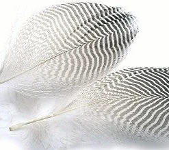 Hareline Feathers & Marabou Teal Flank Feathers
