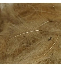 TroutHunter Premium Bulk CDC Feathers & Marabou