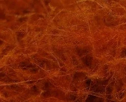 TroutHunter CDC Dubbing