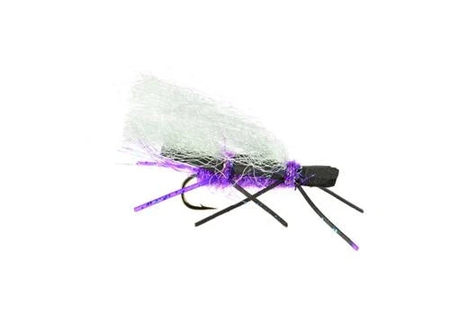 Umpqua Shop Flies Chubby Chernobyl Purple 3 Umpqua Shop Flies Chubby Chernobyl Purple