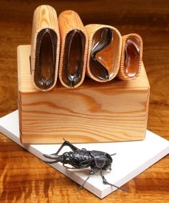 Hareline Foam & Bodies Tomsu's Supreme Cricket Cutter Complete Set