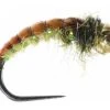 Umpqua Egan's GTI Caddis - Amber Shop Flies