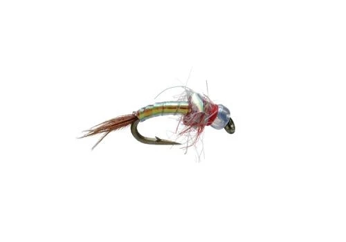 Umpqua Shop Flies Egan's Rainbow Warrior - Pearl 3 Umpqua Shop Flies Egan's Rainbow Warrior - Pearl