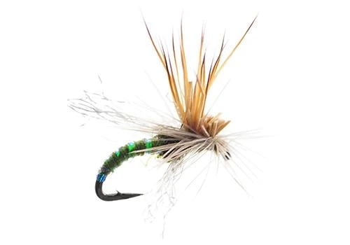 Umpqua Shop Flies Mercer's Missing Link - Olive 3 Umpqua Shop Flies Mercer's Missing Link - Olive