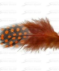 Hareline UV2 Large Eyed Guinea Feathers & Marabou