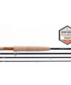 Thomas & Thomas Paradigm Rods