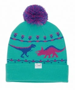 Coal The Dinosaur Graphic Pom Beanie