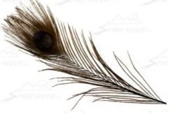 Spirit River Dyed Peacock Eyes Feathers & Marabou