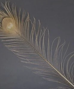 Spirit River Dyed Peacock Eyes Feathers & Marabou