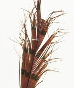 Semperfli Knotted Hopper Legs 9 Semperfli Knotted Hopper Legs