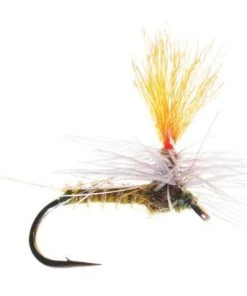 Umpqua Shop Flies Bear's Hi-Viz Parachute Olive