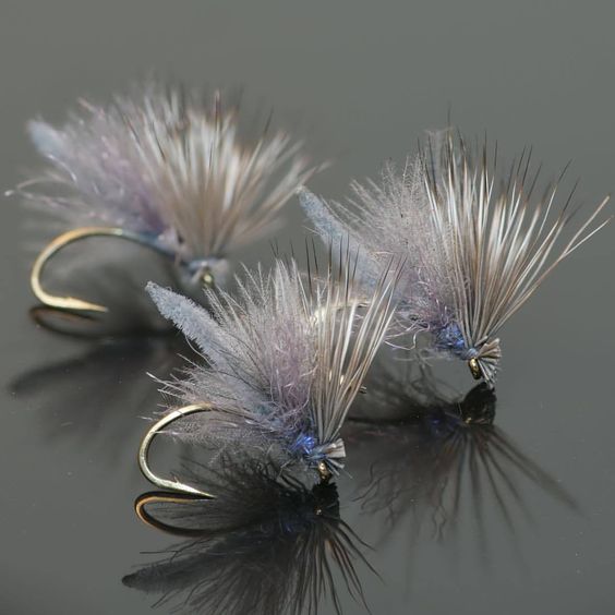 Fly Fish Food store -Fly Fish Food store 8ujovwk3yqza1